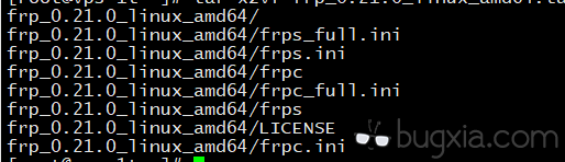 Linux下内网穿透Frp客户端的简单用法 | Bug侠